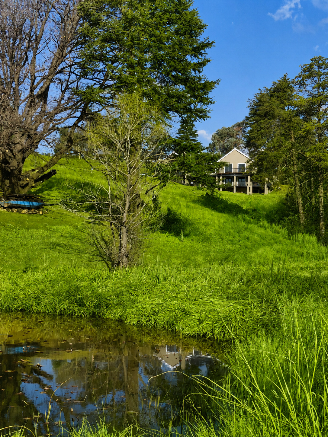 The private dam at Underwood Country Manor with mountain reflections